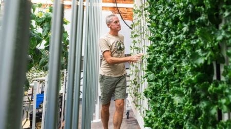 Acumatica_Telesis-16-9-800x450